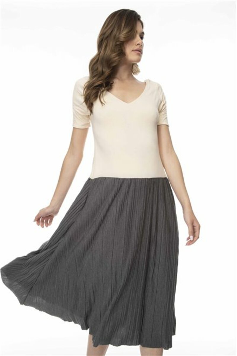 Two-tone dress with pleated skirt and outside the back